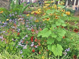 Madeira's flowers are everywhere